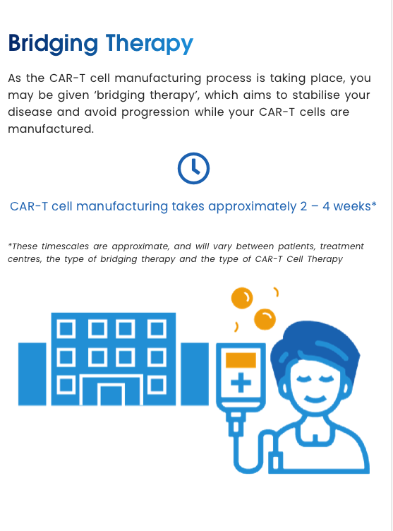 3 • Bridging Therapy